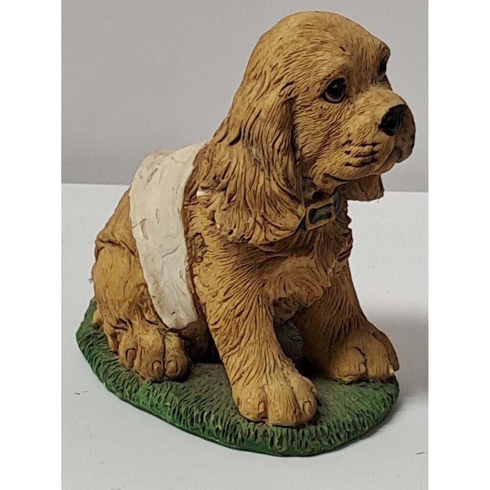 Cocker Spaniel Puppy